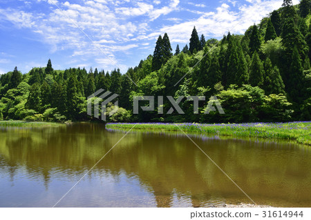 岩石池的刺穿鐵鏽 岩石池的刺穿鐵鏽 31614944