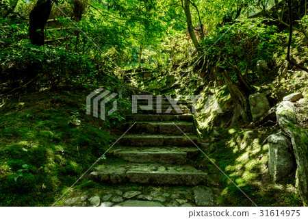 在Jogakkoji寺的花園和樓梯內 在Jogakkoji寺的花園和樓梯內 31614975