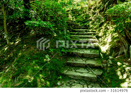 在Jogakkoji寺的花園和樓梯內 在Jogakkoji寺的花園和樓梯內 31614976