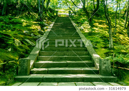 在Jogakkoji寺的花園和樓梯內 31614979