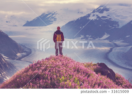 Hike in Salmon glacier 31615009