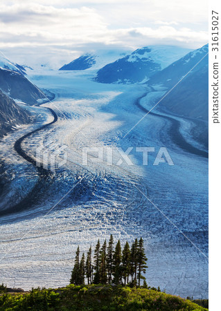 Salmon glacier Salmon glacier 31615027