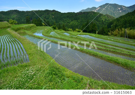 在高島市領域的米大陽台 31615063