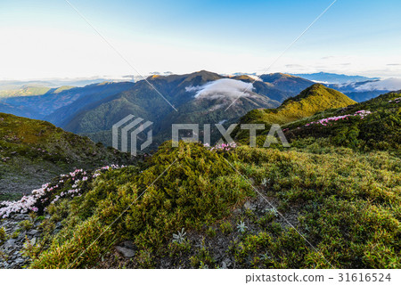 奇萊稜線看合歡山脈 奇萊稜線看合歡山脈 31616524