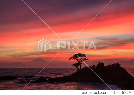 Yokosuka city Akitani Tateishi coast to sunset Mt. Fuji 31616799