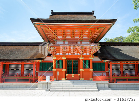 Usa Jingu Shrine Usa Jingu Shrine 31617752