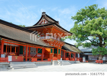 美國神宮 31617753