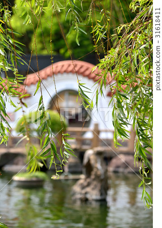 Landscape garden willow willow tree willow branch Chinese garden Chinese garden park pond greenery new green pool Chinese style breeze spring breeze Landscape garden willow willow tree willow branch Chinese garden Chinese garden park pond greenery new green pool Chinese style breeze spring breeze 31618411