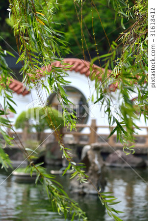 風景 庭園 柳 柳樹 柳枝 中國庭園 中式庭園 公園 池塘 綠意 新綠 池子 中國風 微風 春風 31618412