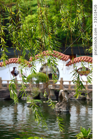 風景 庭園 柳 柳樹 柳枝 中國庭園 中式庭園 公園 池塘 綠意 新綠 池子 中國風 微風 春風 31618416