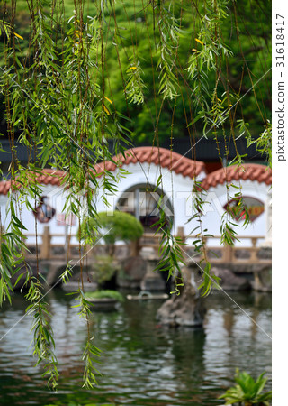 Landscape garden willow willow tree willow branch Chinese garden Chinese garden park pond greenery new green pool Chinese style breeze spring breeze 31618417