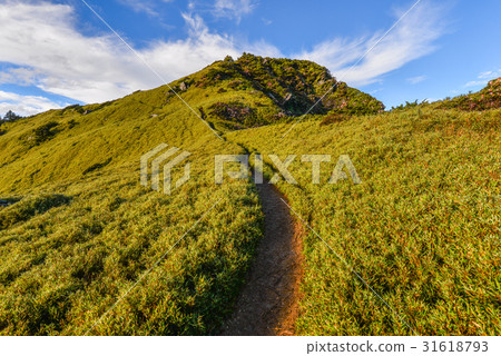 奇萊主山稜線 31618793
