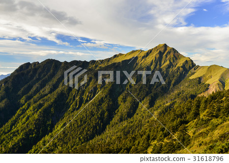 奇萊主山 31618796