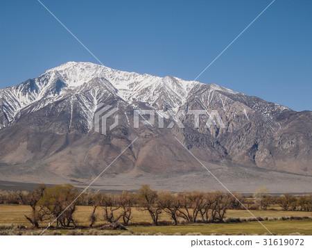 Snow capped mountains, blue sky, Desert landscape Snow capped mountains, blue sky, Desert landscape 31619072