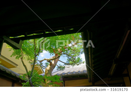 Nara · Romantic · Lattice house · Courtyard sky 31619170