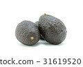 Avocado Avocado 31619520