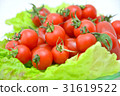 Mini tomato 2 Mini tomato 2 31619522