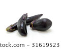 Eggplant Eggplant 31619523