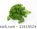 Parsley Parsley 31619524