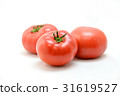 Tomato Tomato 31619527