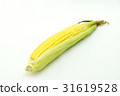 Corn 1 Corn 1 31619528