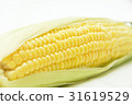 Corn 2 Corn 2 31619529