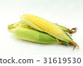 Corn 3 Corn 3 31619530