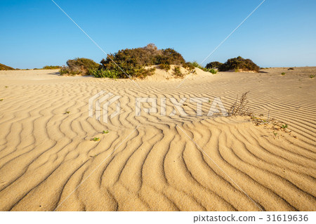 Lines in the sand of a beach, Grande Dunes Lines in the sand of a beach, Grande Dunes 31619636