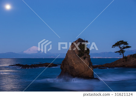 Yokosuka City Akitani Tateishi Coast Pearl Fuji 31621124