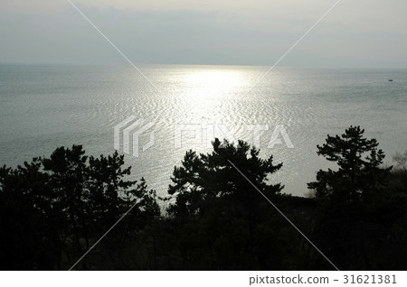 琵琶湖發光 31621381