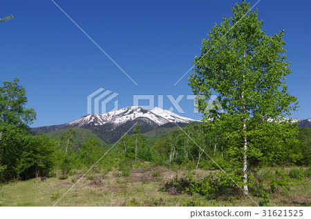 An active volcano consisting of more than 20 peaks at an altitude of about 3000 m above the Norikura mountain range from the Takahara Norikura Kogen in Shinshu. 31621525