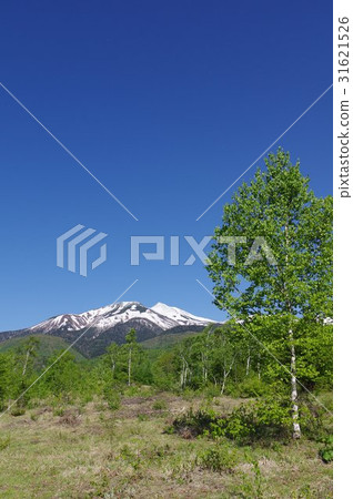 一個活躍的火山,由位於信州的高原Norikura Kogen的Norikura山脈上方約3000米高度的20多個山峰組成。 一個活躍的火山,由位於信州的高原Norikura Kogen的Norikura山脈上方約3000米高度的20多個山峰組成。 31621526