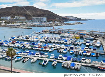 Marina in Puerto Rico de Gran Canaria. 31621556
