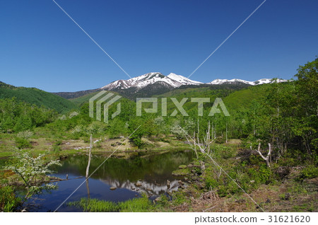 信州的高原Norikura Kogen的Osome池和Norikura密集的活火山，由海拔約3000米的20多座山峰組成 31621620
