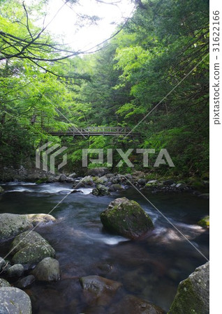 Shinshu Norikura高地Chima Yubu長廊的Yumeibashi橋小Ogawa河流 31622166