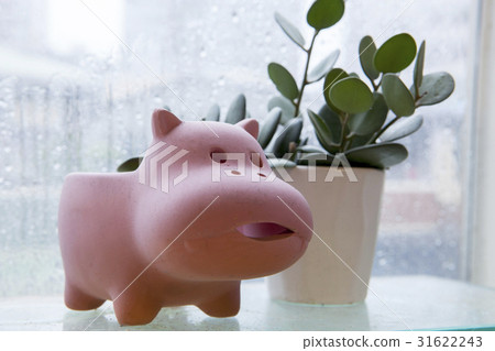 雨，窗戶，花盆，雨，窗台，花盆 31622243