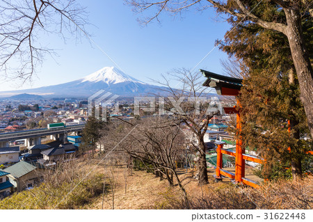 Fuji mountain city and torii gate on the right 31622448