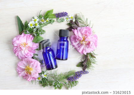 Essential oil plant Essential oil plant 31623015