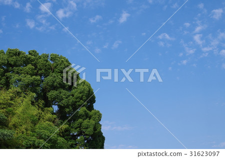 Blue sky 41 Blue sky 41 31623097