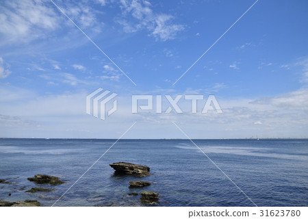 陽光海岸 31623780