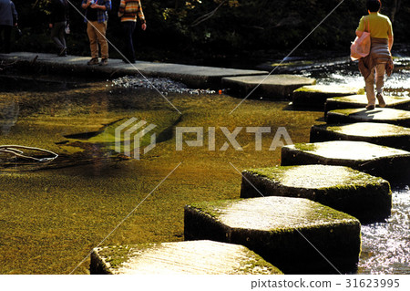 The secret of the Tohoku region Koka gorge of Akita 31623995