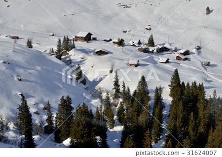 Murren ski village in snow mountain of Interlaken Murren ski village in snow mountain of Interlaken 31624007