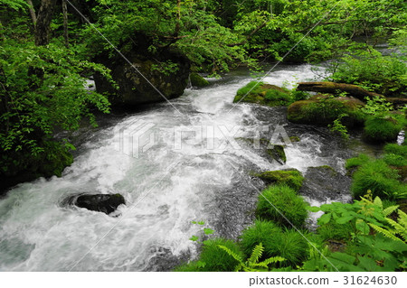 May Oirase Ise Stream 26 Fresh green waterside 31624630