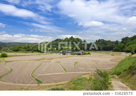 Tamasuusa的風景 Tamasuusa的風景 31628573