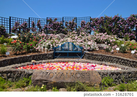 水ta生態公園 水ta生態公園 31628701