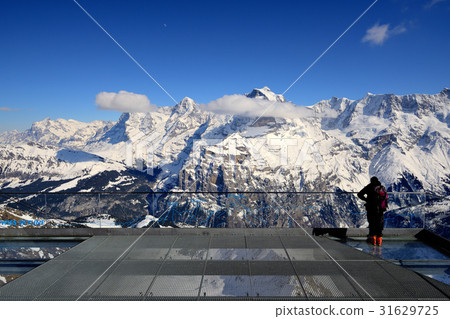 Birg Skylinewalk above Bernese Alps of Interlaken Birg Skylinewalk above Bernese Alps of Interlaken 31629725