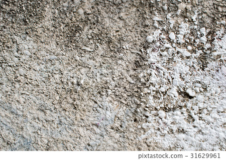 Texture Cracked Concrete Wall sprayed mottled pattern White gray Texture Cracked Concrete Wall sprayed mottled pattern White gray 31629961