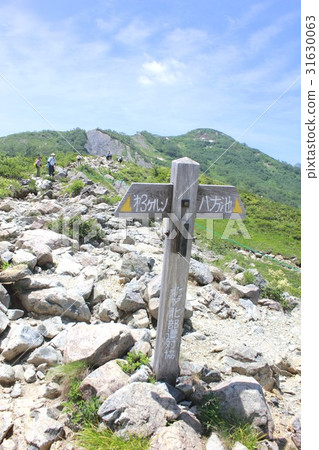 A sunny early summer Hakuba village in Nagano Prefecture Hakusen Road Rugged mountain path of natural research path 31630063