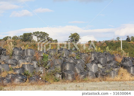 福島第一核電站去污進展福島縣內拉沙町福島縣野賀町袋充滿在Kido農田暫時放置的輻射污染土壤 31630064