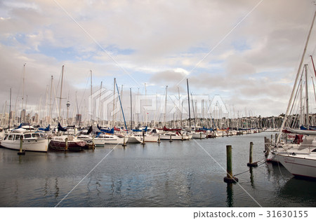 Auckland New Zealand 31630155